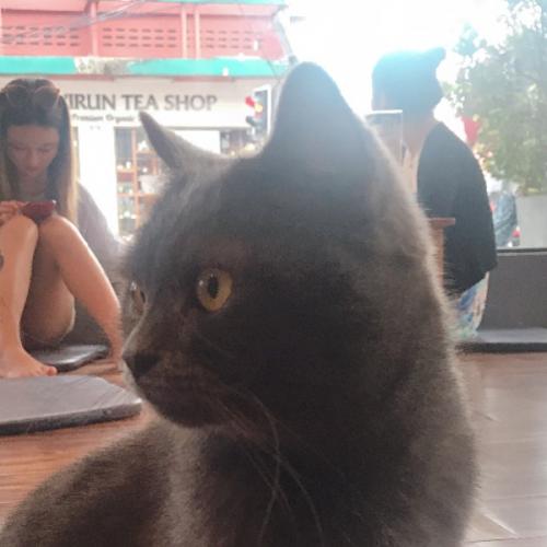 สมาชิกหมายเลข 5979227