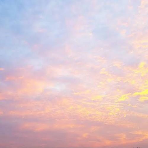 สมาชิกหมายเลข 6150735