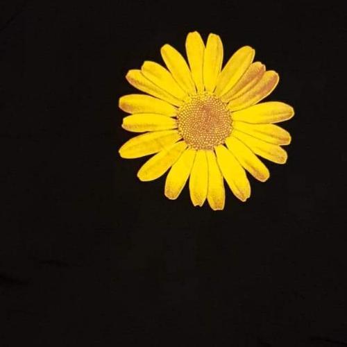 สมาชิกหมายเลข 6588285