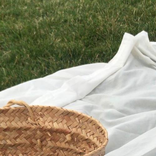 สมาชิกหมายเลข 8166122