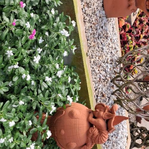 สมาชิกหมายเลข 8201858