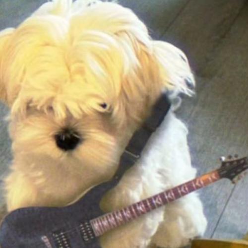 สมาชิกหมายเลข 9198479