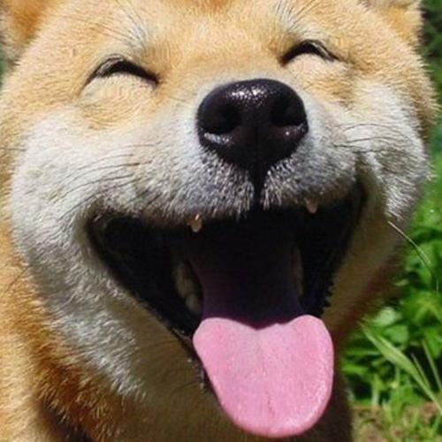 สมาชิกหมายเลข 9199515