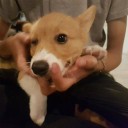 สมาชิกหมายเลข 3856007