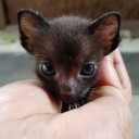 สมาชิกหมายเลข 2908294