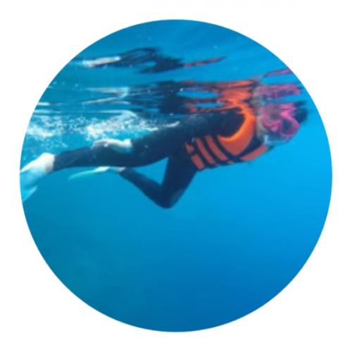 สมาชิกหมายเลข 7013390