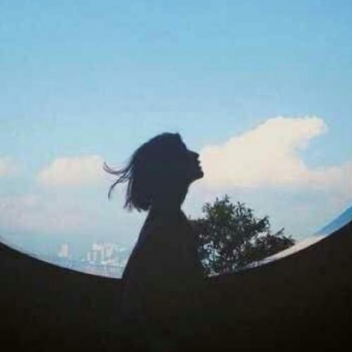 สมาชิกหมายเลข 7312422