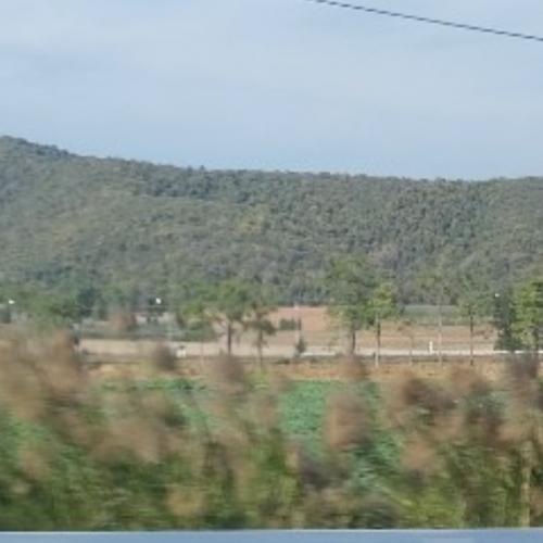 สมาชิกหมายเลข 8085413