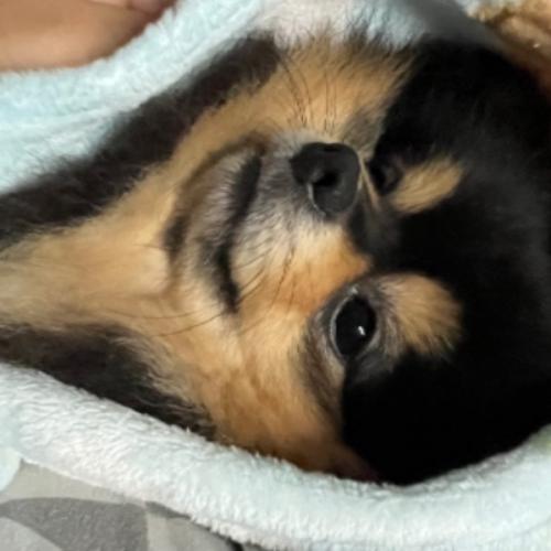 สมาชิกหมายเลข 5607456