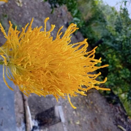 สมาชิกหมายเลข 9056191