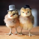 สมาชิกหมายเลข 3585561