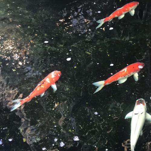 สมาชิกหมายเลข 5027660