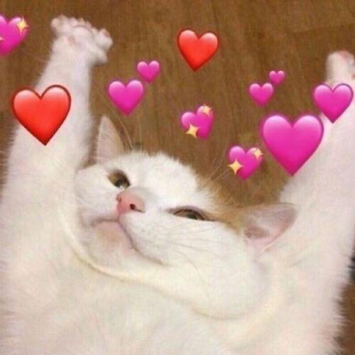 สมาชิกหมายเลข 5063668