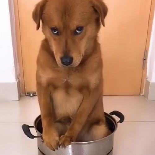 สมาชิกหมายเลข 729324