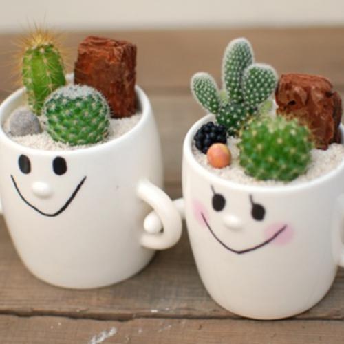 สมาชิกหมายเลข 5953725