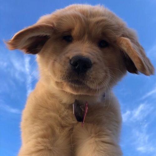 สมาชิกหมายเลข 6587082