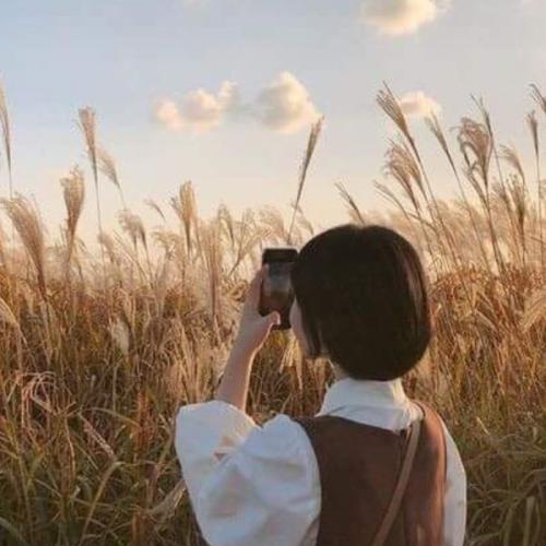 สมาชิกหมายเลข 7312786