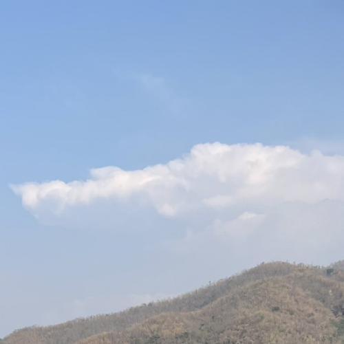 สมาชิกหมายเลข 8171864