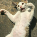 เส้นเล็กลูกชิ้นรวมน้ำใส