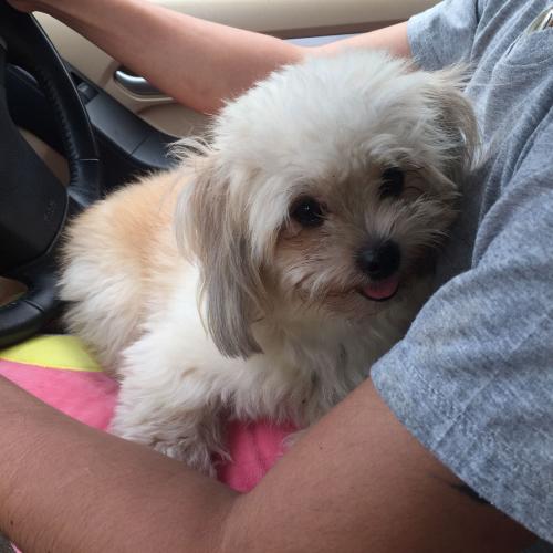 สมาชิกหมายเลข 3712009