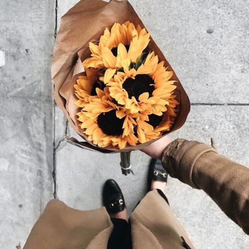 สมาชิกหมายเลข 4016048