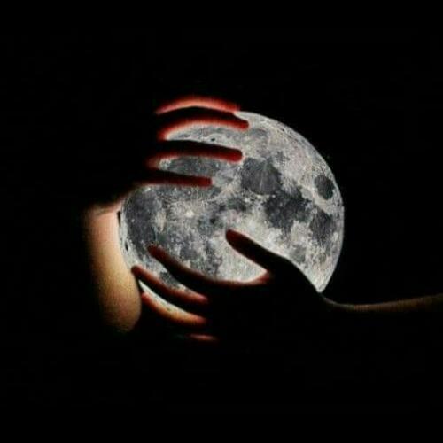 สมาชิกหมายเลข 4373401