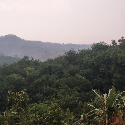 สมาชิกหมายเลข 4356082