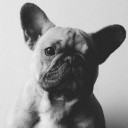 สมาชิกหมายเลข 5457110