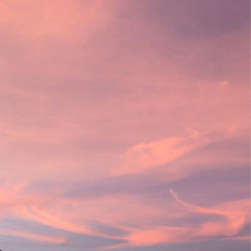 สมาชิกหมายเลข 4596954