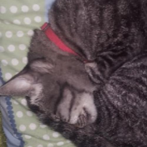 สมาชิกหมายเลข 5980772