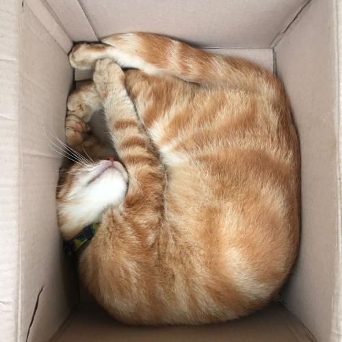 สมาชิกหมายเลข 4342532