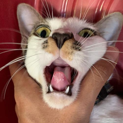 สมาชิกหมายเลข 6537081