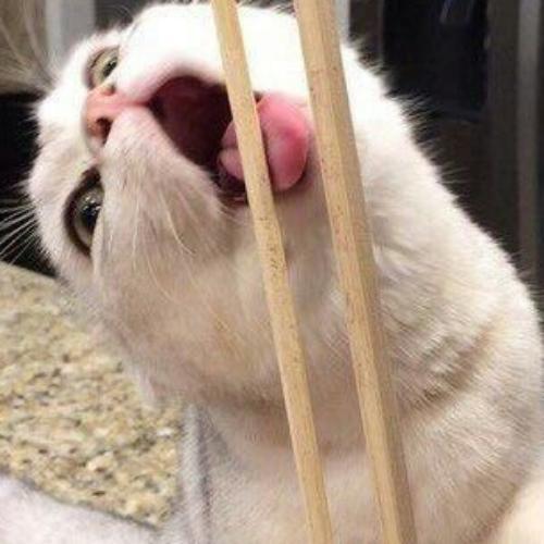 สมาชิกหมายเลข 6590305