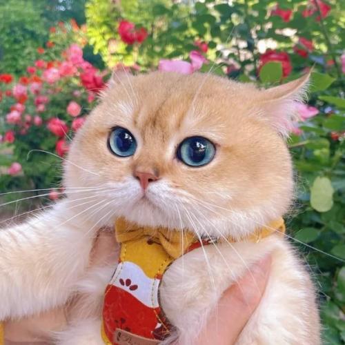 สมาชิกหมายเลข 6026165