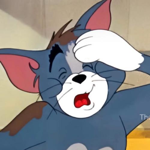 สมาชิกหมายเลข 4739592