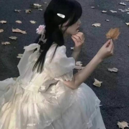 สมาชิกหมายเลข 8173240