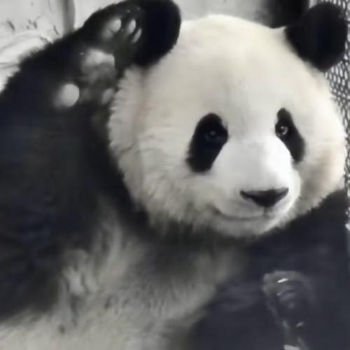 สมาชิกหมายเลข 7470287