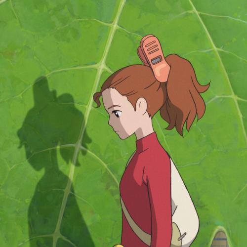 สมาชิกหมายเลข 8089019