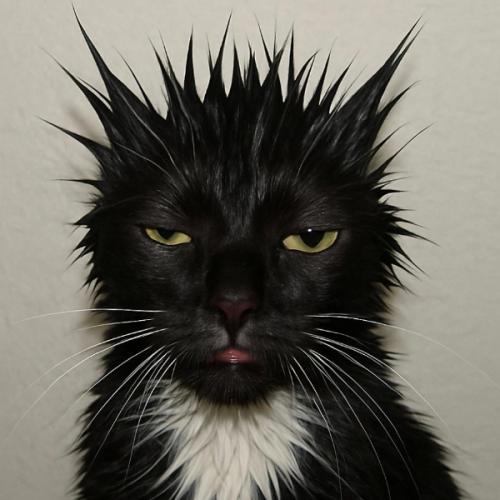 สมาชิกหมายเลข 9198987