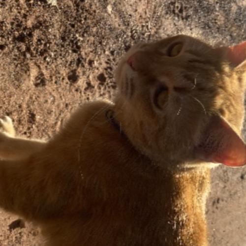 สมาชิกหมายเลข 9201769