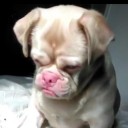 สมาชิกหมายเลข 3775724