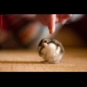 สมาชิกหมายเลข 3857556