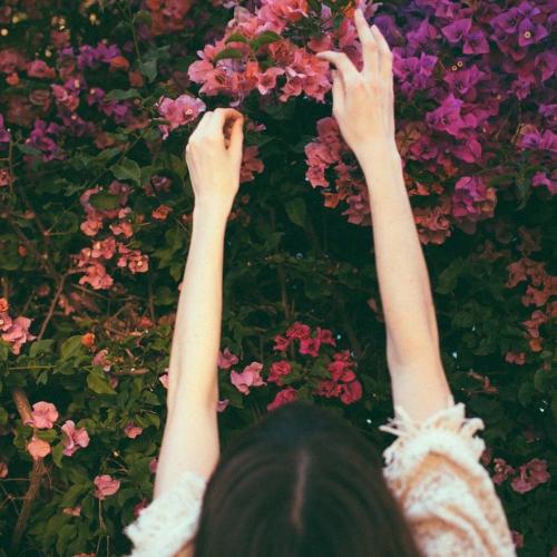 สมาชิกหมายเลข 4324691