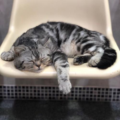 สมาชิกหมายเลข 3980406