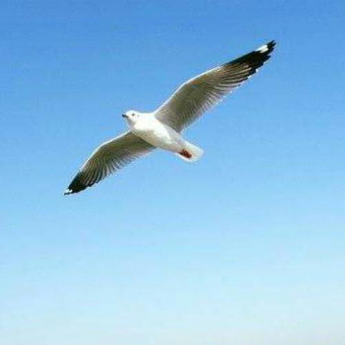 สมาชิกหมายเลข 5015338