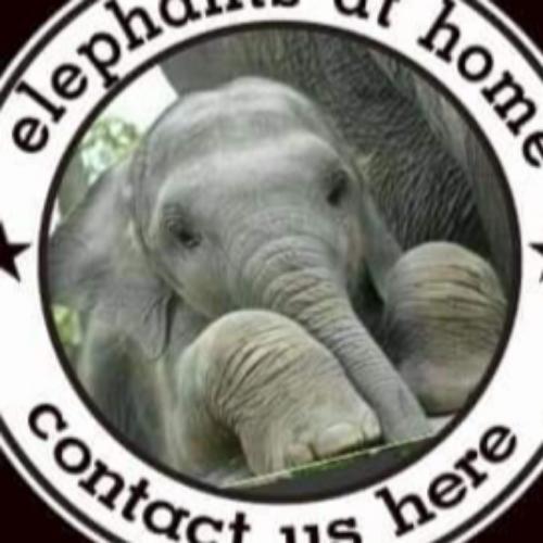 สมาชิกหมายเลข 5457951