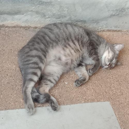 สมาชิกหมายเลข 5234872