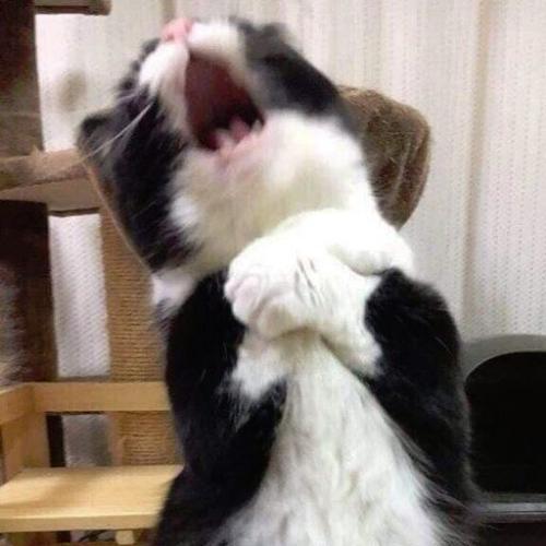 สมาชิกหมายเลข 5981662