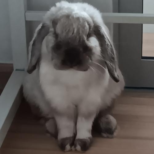 สมาชิกหมายเลข 5022129