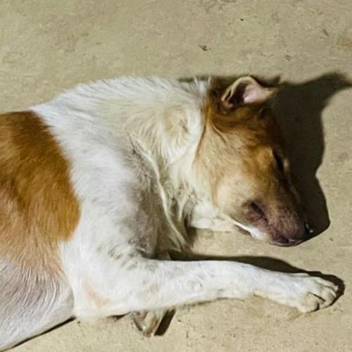 สมาชิกหมายเลข 8173911